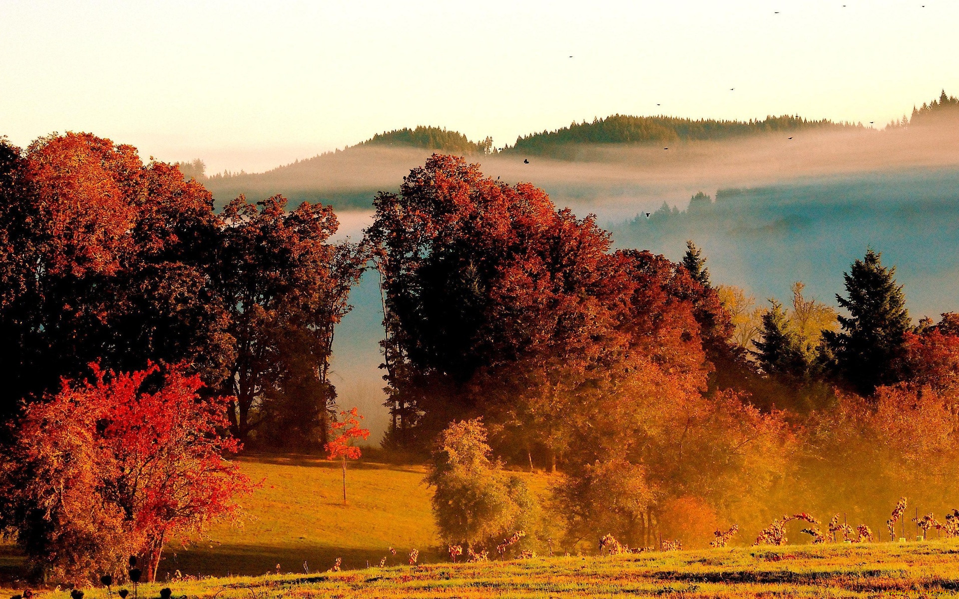 autumn, , , , , , , 